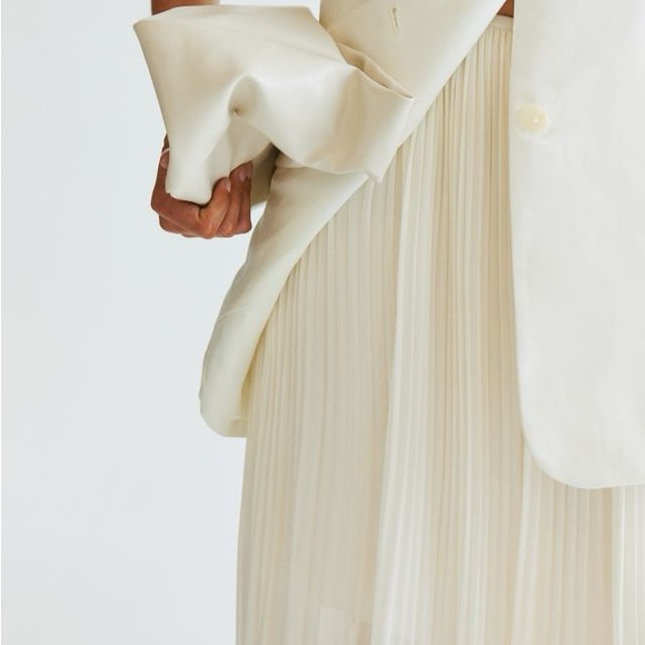 H&M Pleated Chiffon Skirt - Picture 3 of 4